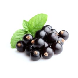 FRUITY AND JUICY BLACKCURRANT