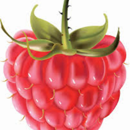 Raspberry Bubblegum