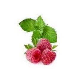 Raspberry Menthol