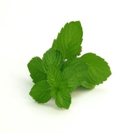 spearmint flavour