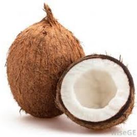 Coconut